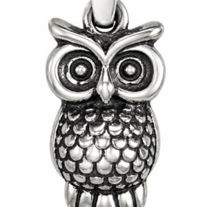 Sterling Silver Owl Pendant – Symbolic Wisdom & Protection Jewelry